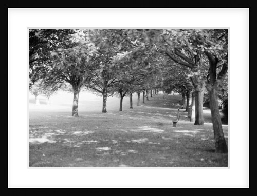 Arthur Newbery Park by Reading Post