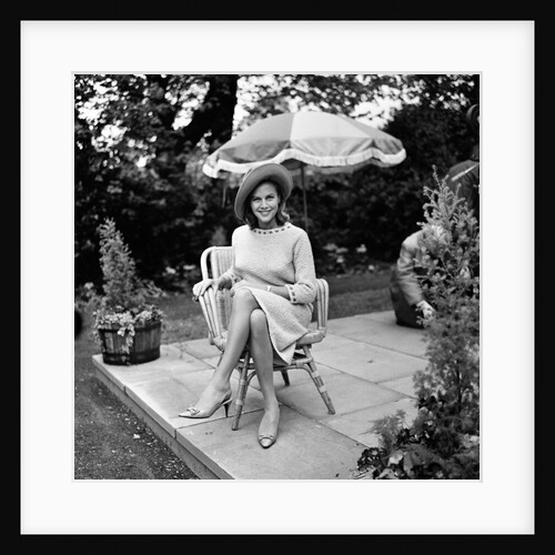 Life at the Top by Andrew Varley