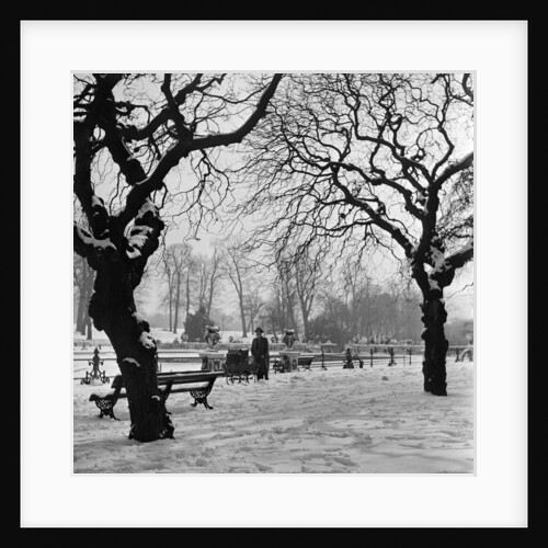 Hyde Park, circa 1953 by Staff