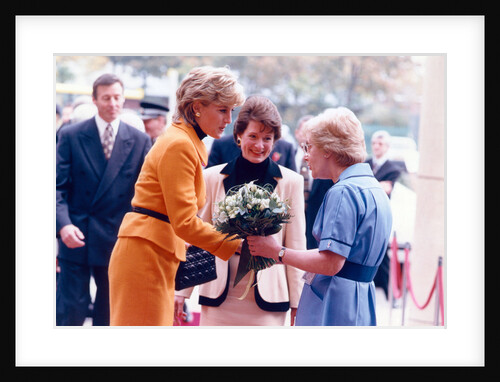 Princess Diana 1995 by Liverpool Echo