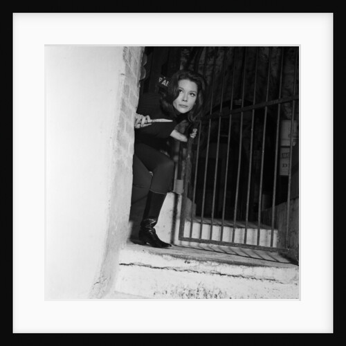 The Avengers by Doreen Spooner