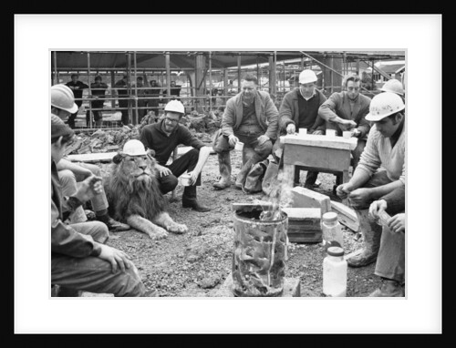 A matey sort of aristocrat, mixing with the workers by Maurice Tibbles