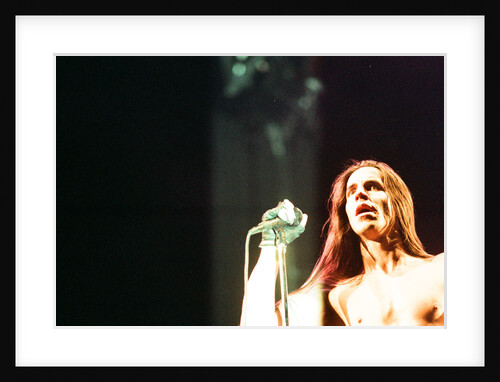 Red Hot Chili Peppers by Staff