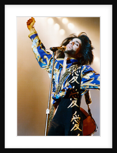 Prince, 1990 by J D Fowler