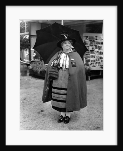 St David's Day by Anonymous