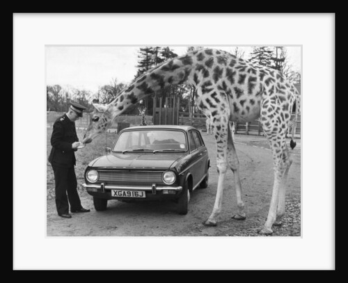 Constable Gerry Milne has the wildest beat in Scotland by Anonymous