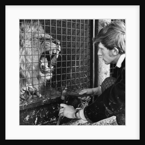 Workman Charlie Harris new on the job at Blair Drummond Safari & Leisure Park by Anonymous