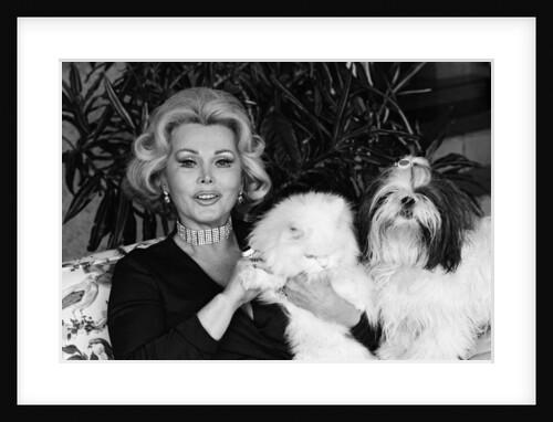Zsa Zsa Gabor by Eddie Sanderson