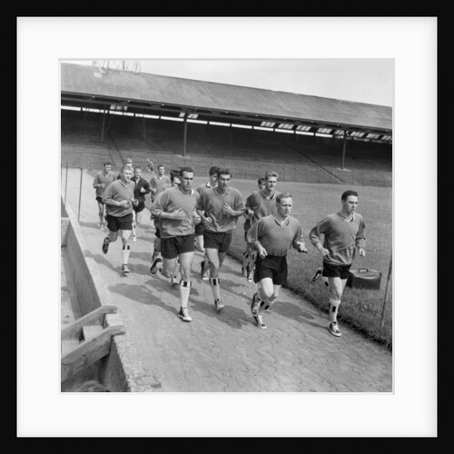 Newcastle United by John Robson