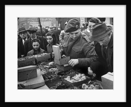 East London Small holders restocking sale. 18th February 1945 by MacLellan