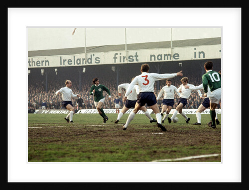 Ireland v England British Home Championship match at Windsor Park by C. Paterson