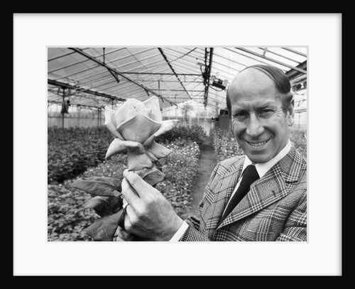 Bobby Charlton holding a rose in a greenhouse by Anonymous