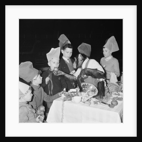 Chimpanzees of Bertram Mills circus by Chapman