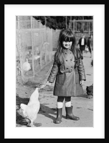 The little girl who had her iced lolly pecked by the chickens at Plymouth Zoo by Anonymous