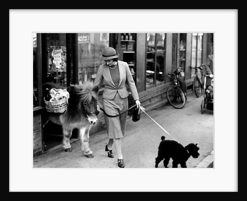 Twinkle the shetland pony comes out of the shop carrying his owners supplies by Anonymous