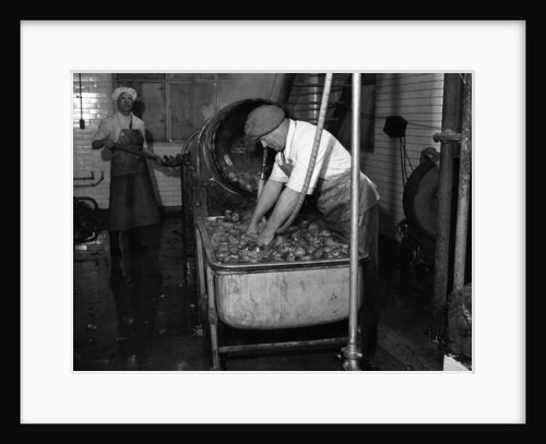 Carrot Powder making at Bristol by Staff