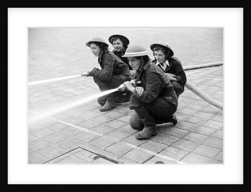 W.N.F by George Greenwell