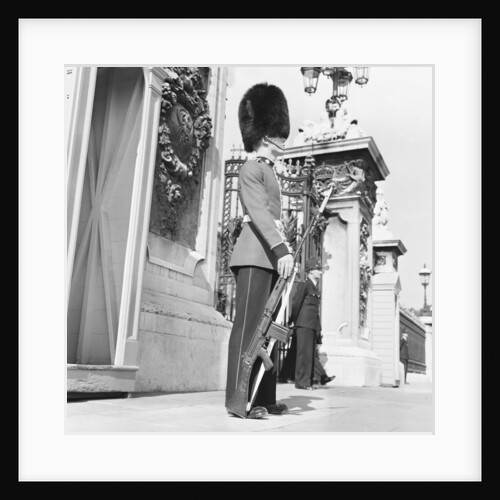 The Coldstream guards by Anonymous