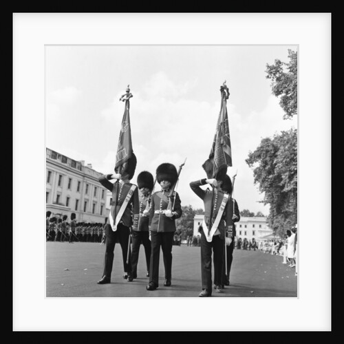 The Coldstream guards by Anonymous