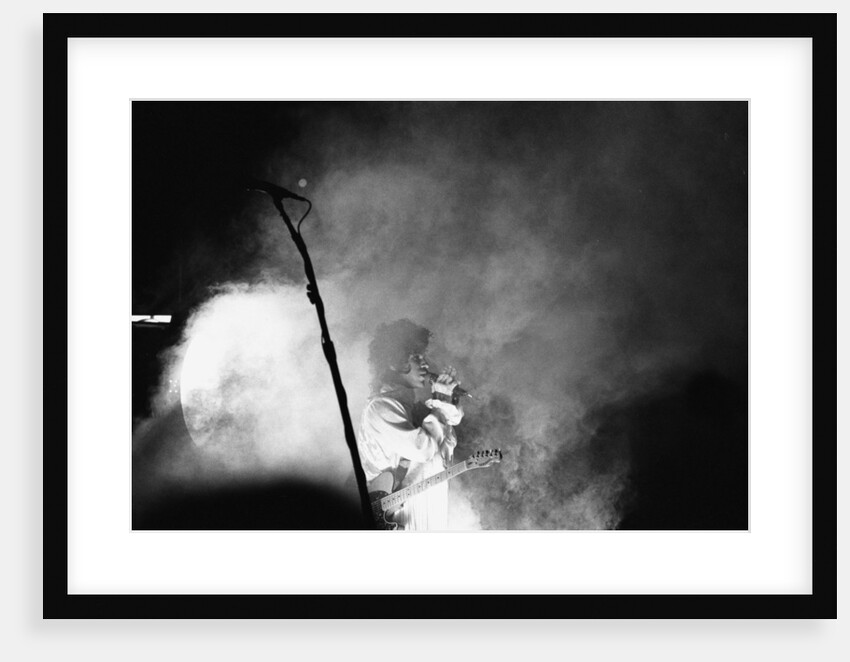 Prince Pop Star by Mike Maloney
