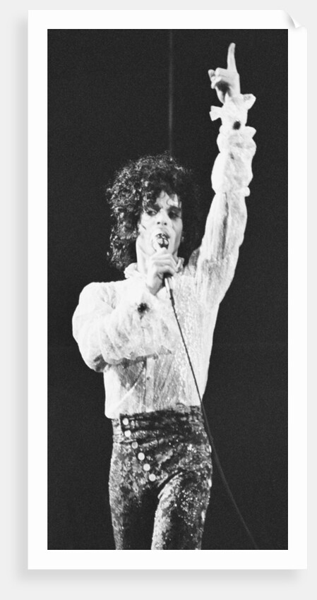 Prince Pop Star by Mike Maloney