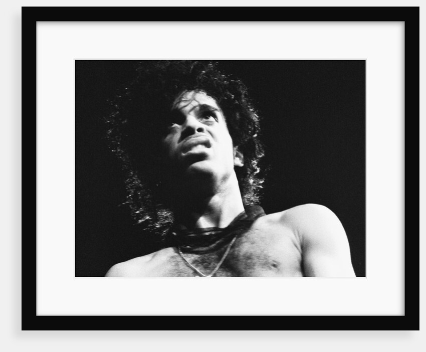 Prince Pop Star by Mike Maloney