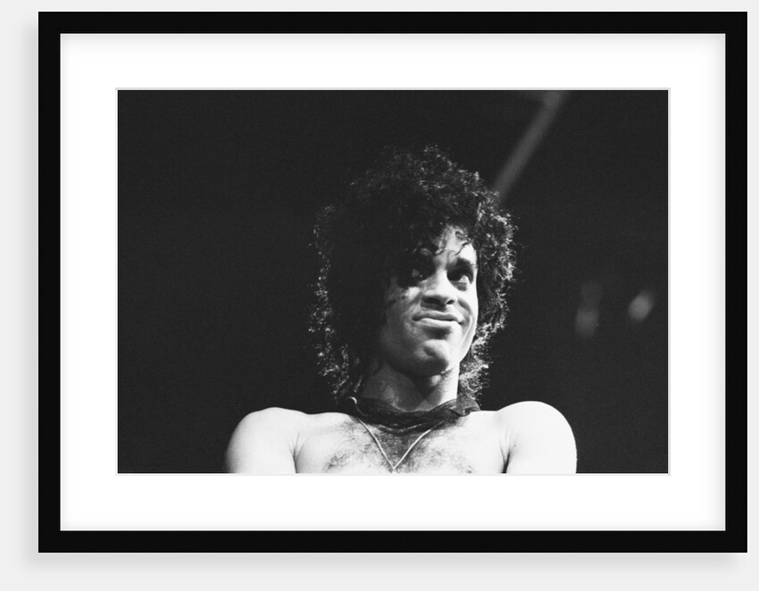 Prince Pop Star by Mike Maloney