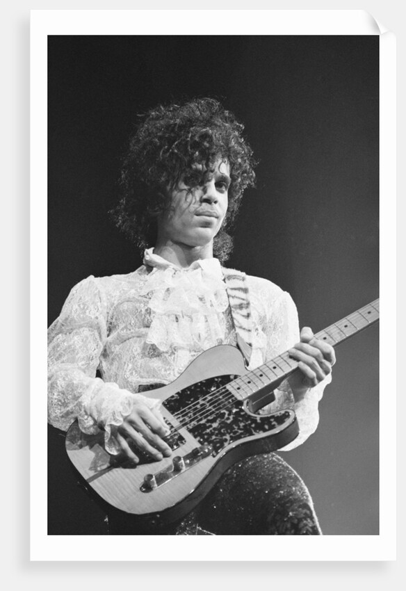 Prince Pop Star by Mike Maloney