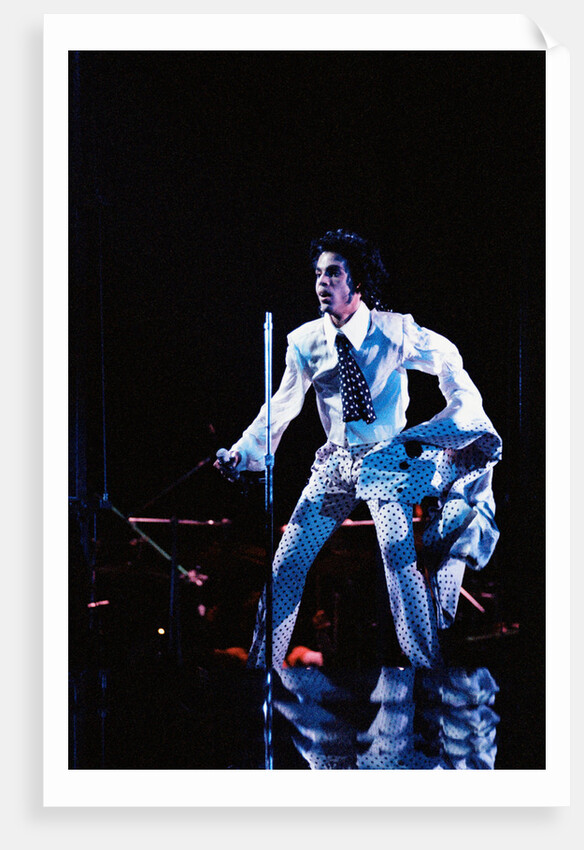 Prince Pop Star by Roger Allen