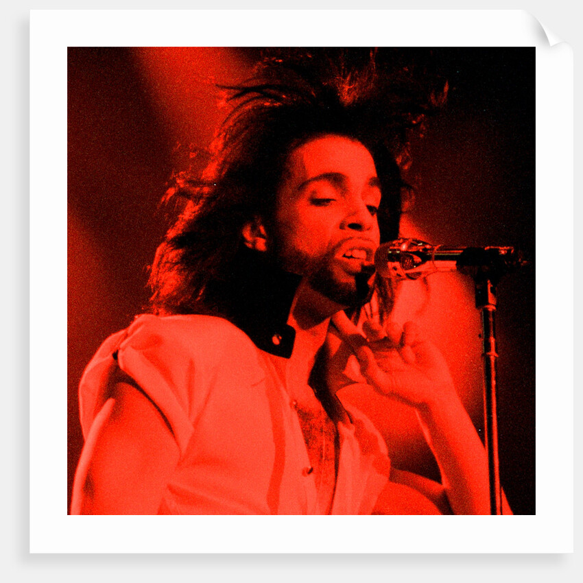 Prince Pop Star by Reid