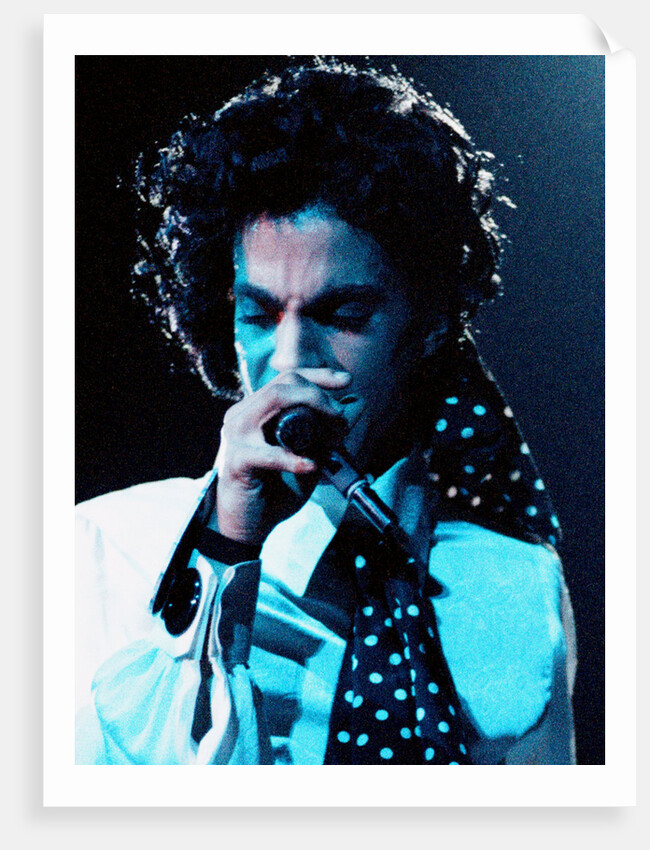 Prince Pop Star by Roger Allen