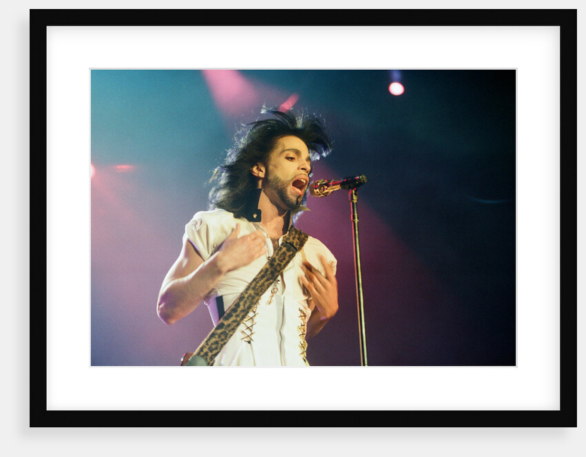 Prince Pop Star by Reid