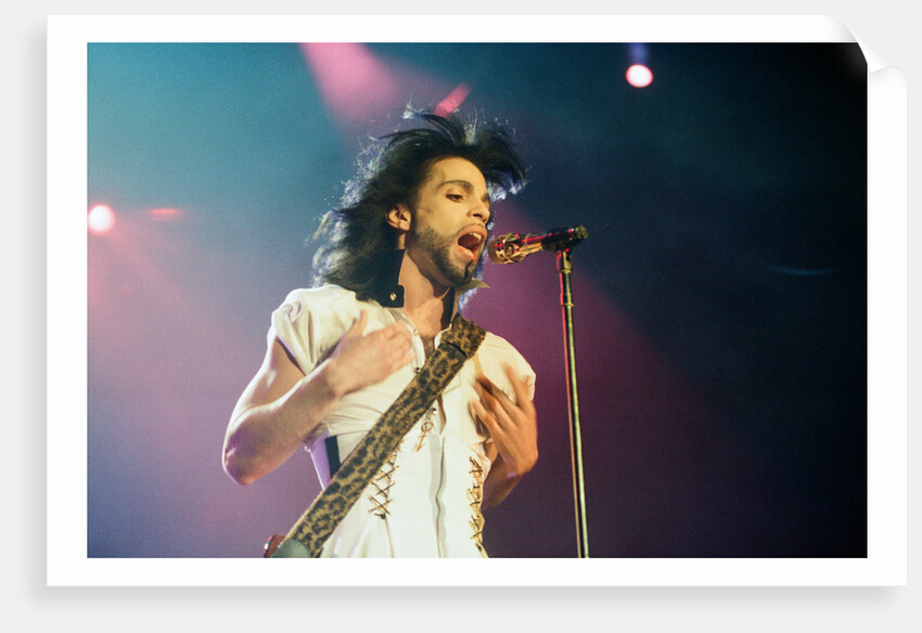 Prince Pop Star by Reid