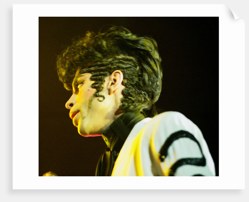 Prince Pop Star by Chris Grieve