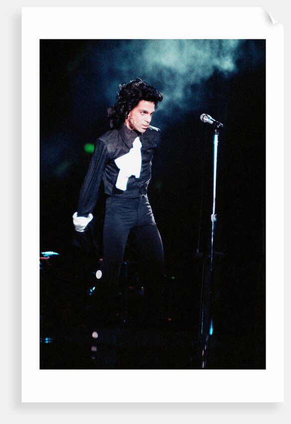 Prince Pop Star by Russell Bass