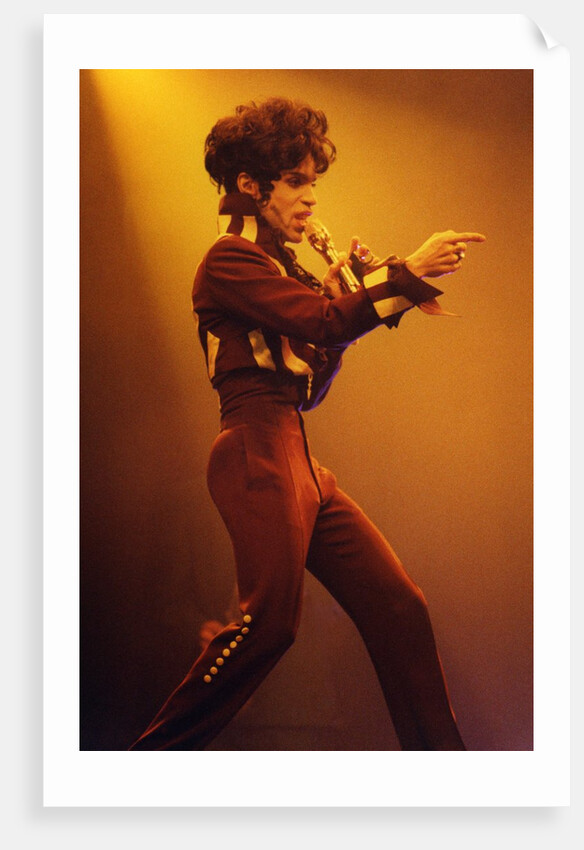Prince Pop Star by Richard Nelmes