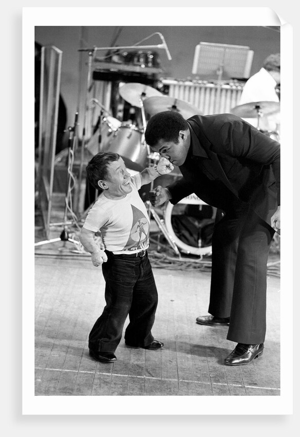 Muhammad Ali the Pop Star by Staff