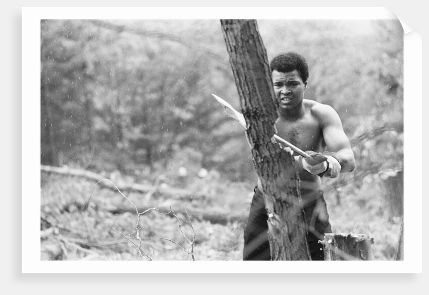 Muhammad Ali by Michael Brennan