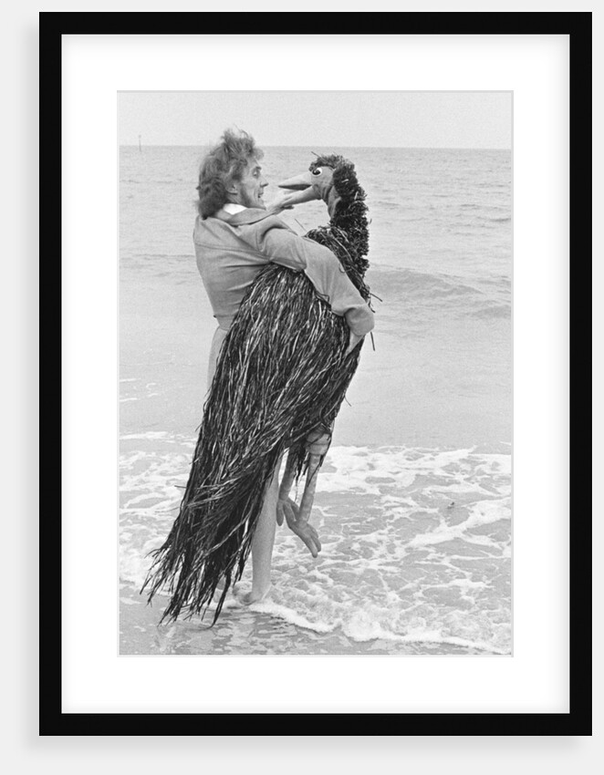 Rod Hull and Emu terrorising the holidaymakers on Clacton's beaches by Jack Curtis