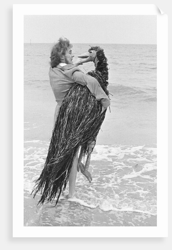 Rod Hull and Emu terrorising the holidaymakers on Clacton's beaches by Jack Curtis