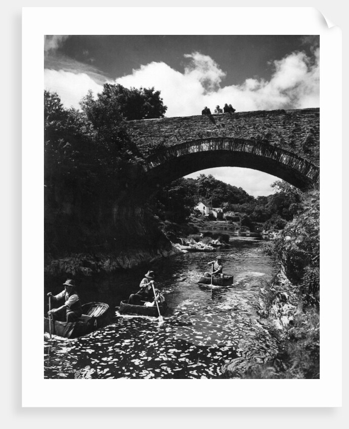 Cenarth Bridge by Staff