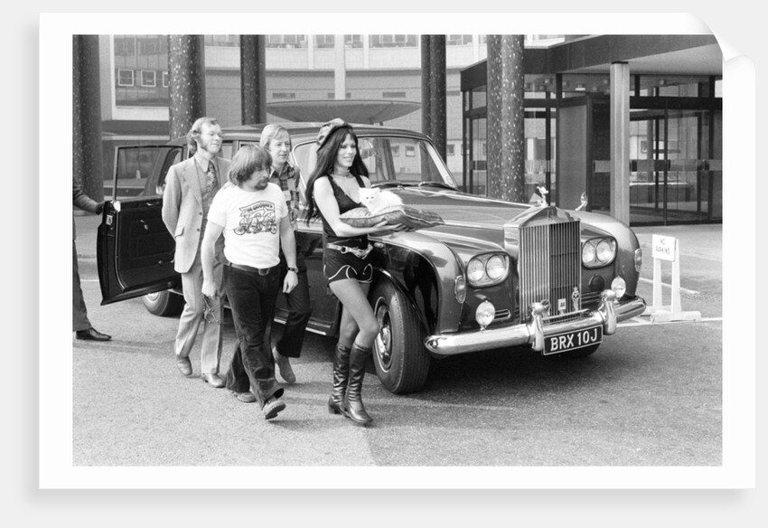 The Goodies by David Johnson