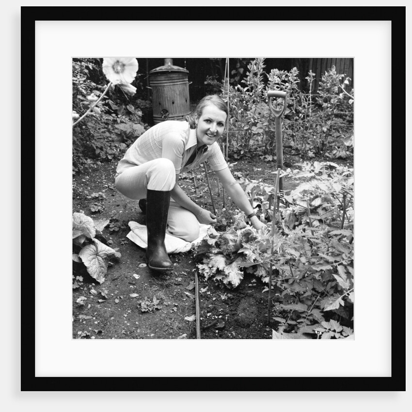 BBC Series ' The Good Life' by Carl Bruin