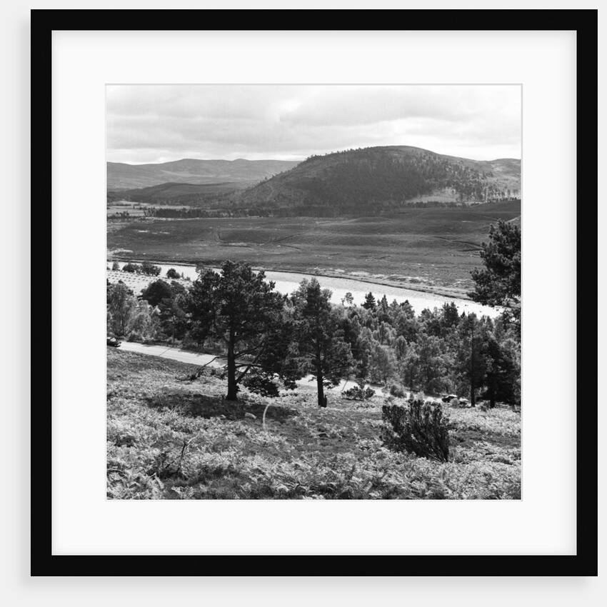 Aberdeen 1959 by Staff