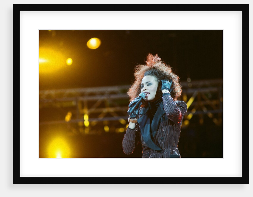 Whitney Houston by Brendon Monks