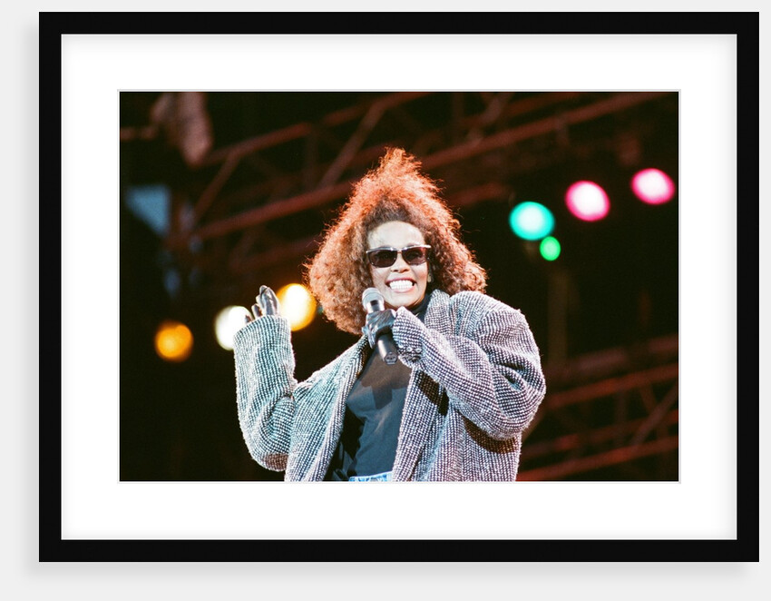 Whitney Houston by Brendan Monks