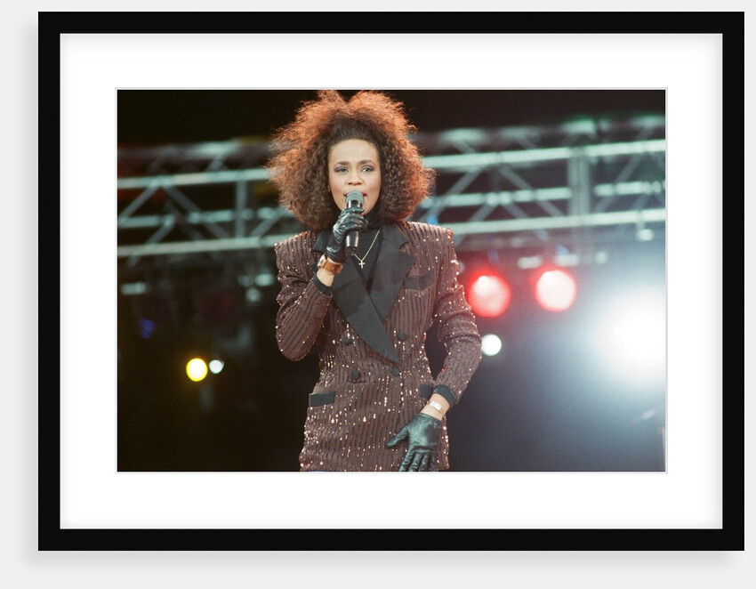 Whitney Houston by Brendon Monks