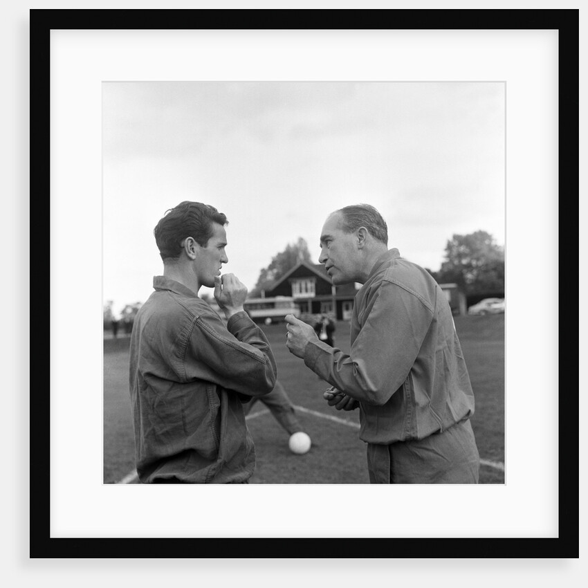 Southampton FC by Monte Fresco