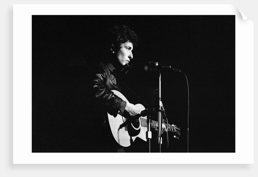 Bob Dylan concert 1965 by Alisdair MacDonald