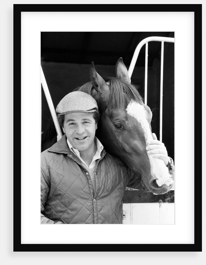 Racehorse Shergar 1981 by Micheal Daines
